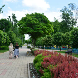 Замечательный парк в Динской — не в каждом городе есть такой!