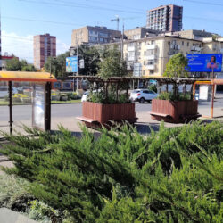 Проект фестиваля ландшафтного искусства в Ростове-на-Дону. Воплощение на площади Ленина